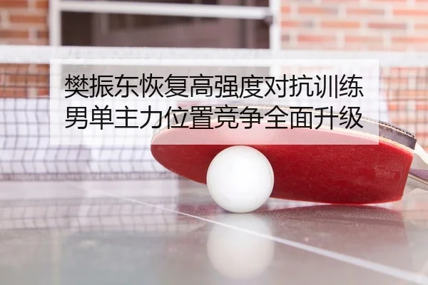 樊振东恢复高强度对抗训练 男单主力位置竞争全面升级